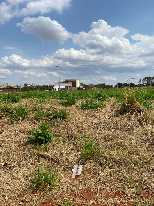 Foto cadastro cód. 3554