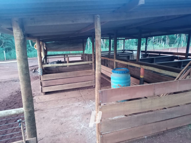 Foto cadastro cód. 3563