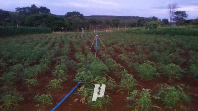 Foto cadastro cód. 3563