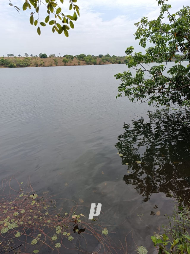 Foto cadastro cód. 3625