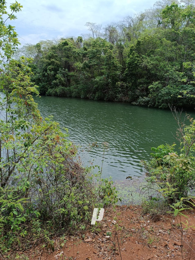 Foto cadastro cód. 3625