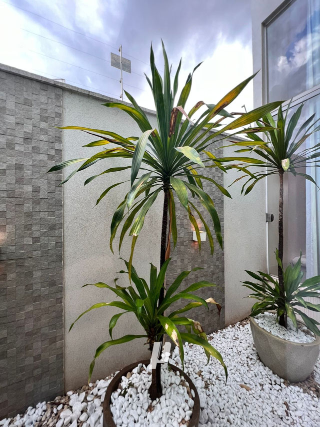 Foto cadastro cód. 3728