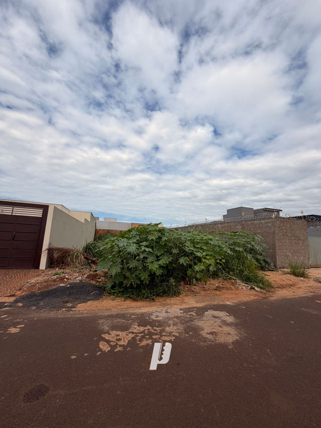 Foto cadastro cód. 3966