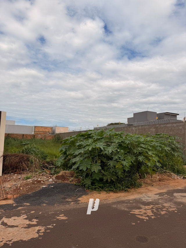 Foto cadastro cód. 3966