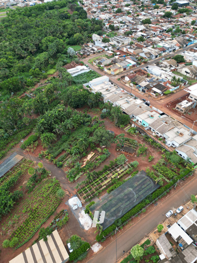 Foto cadastro cód. 3984