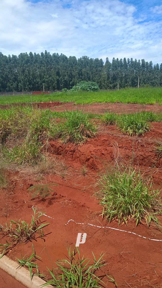 Foto cadastro cód. 3992