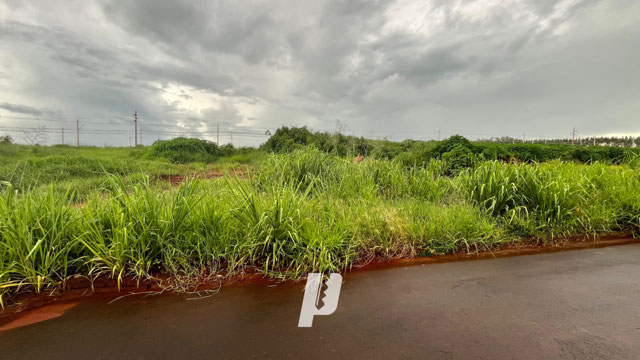 Foto cadastro cód. 4004