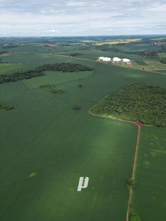 Foto cadastro cód. 4068