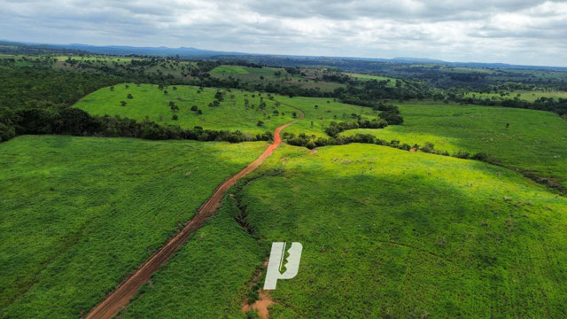 Foto cadastro cód. 4085