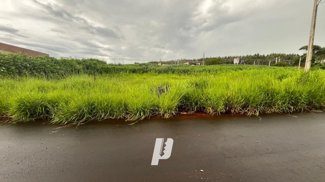 Foto cadastro cód. 4147