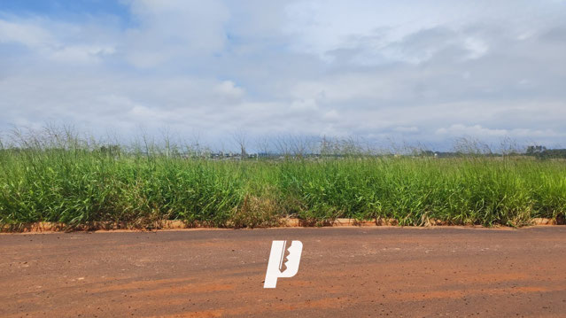 Foto cadastro cód. 4189