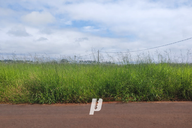 Foto cadastro cód. 4190