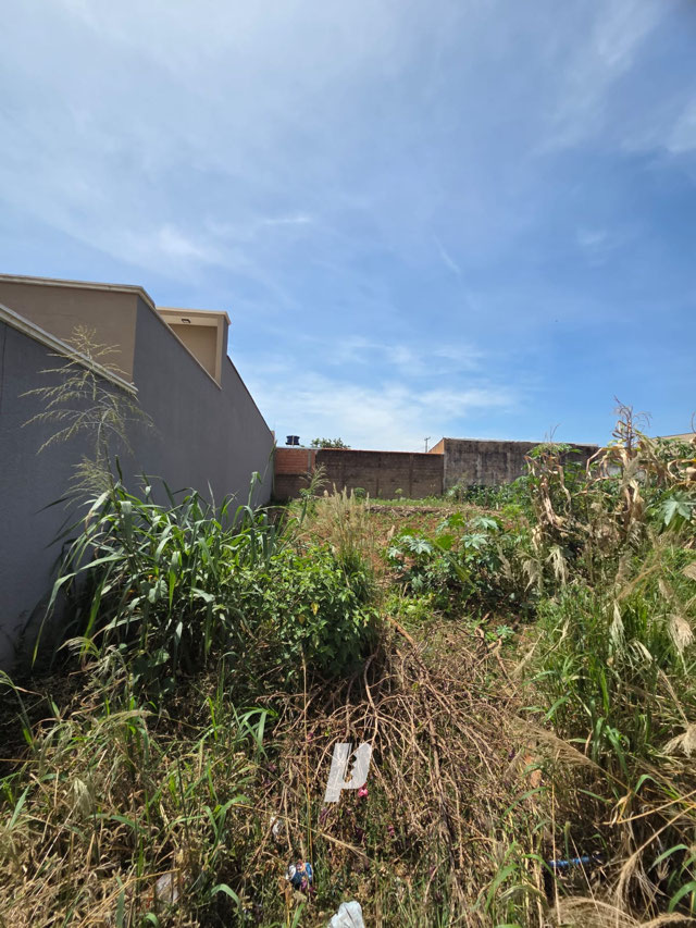 Foto cadastro cód. 4225