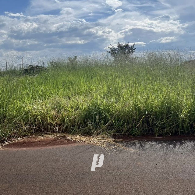 Foto cadastro cód. 4255