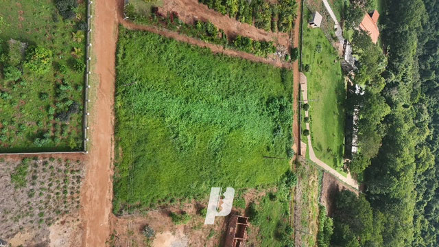 Foto cadastro cód. 4256