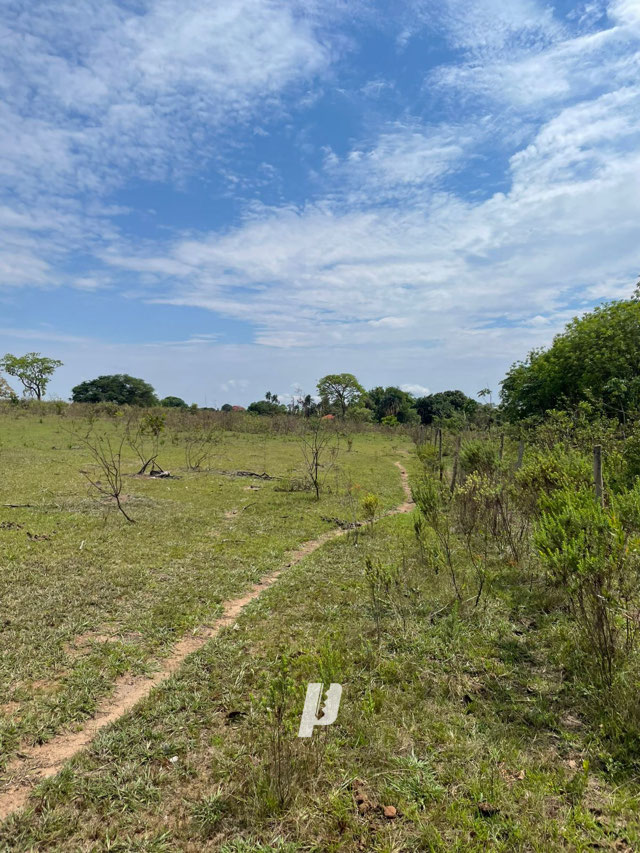 Foto cadastro cód. 4302