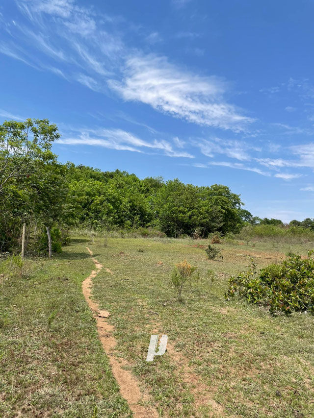 Foto cadastro cód. 4302