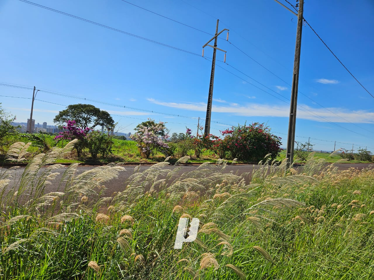 Terreno à venda no Residencial Campos Elísios