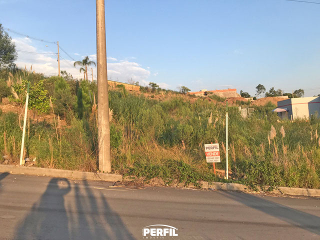 lote 02