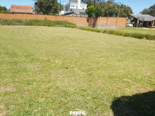 Foto cadastro cód. 6843