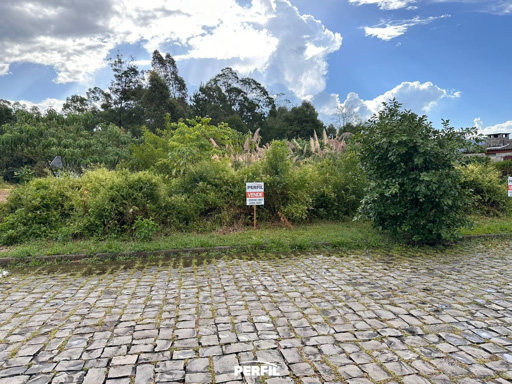 Foto cadastro cód. 7698