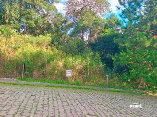 Foto cadastro cód. 8750
