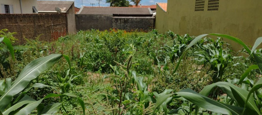 Foto cadastro cód. 1676