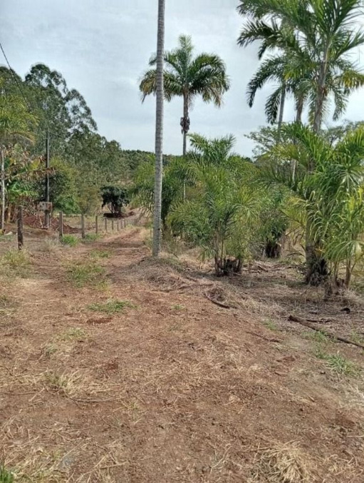 Foto cadastro cód. 2960