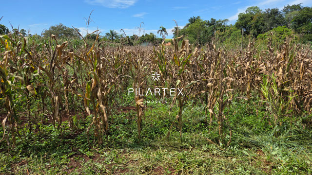 Foto cadastro cód. 4225