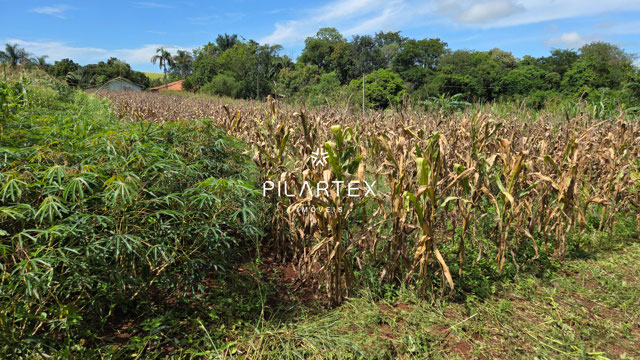 Foto cadastro cód. 4225