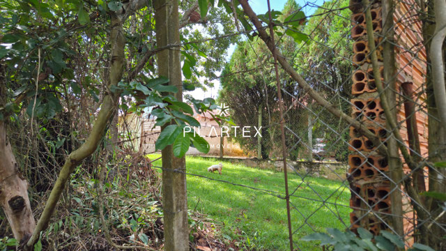 Foto cadastro cód. 4225