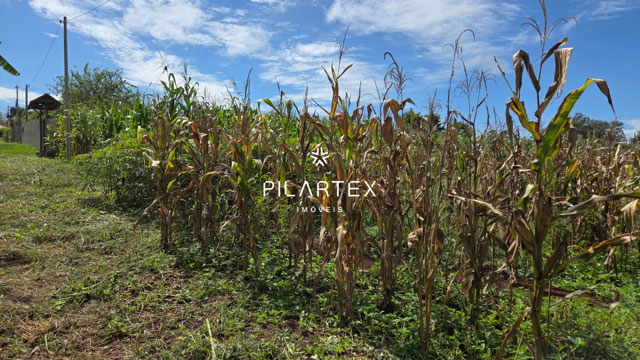 Foto cadastro cód. 4225