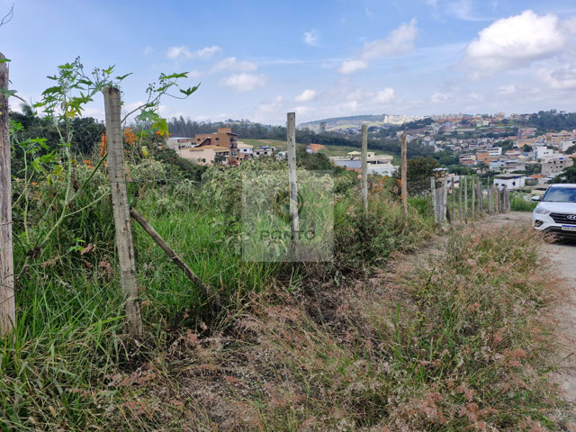 Foto cadastro cód. 562