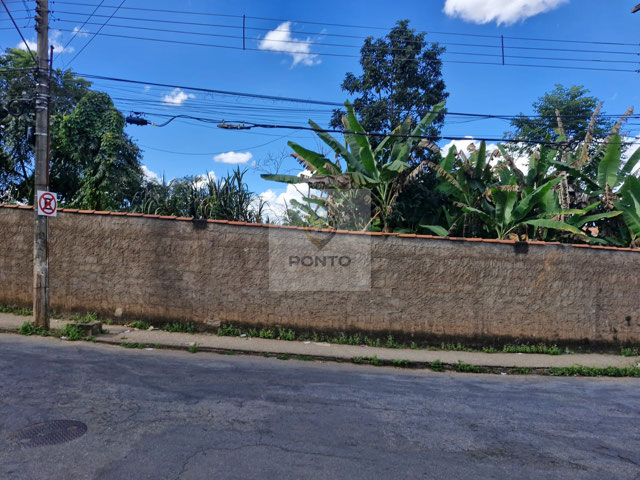 Foto cadastro cód. 565