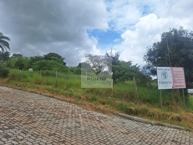 Foto cadastro cód. 568