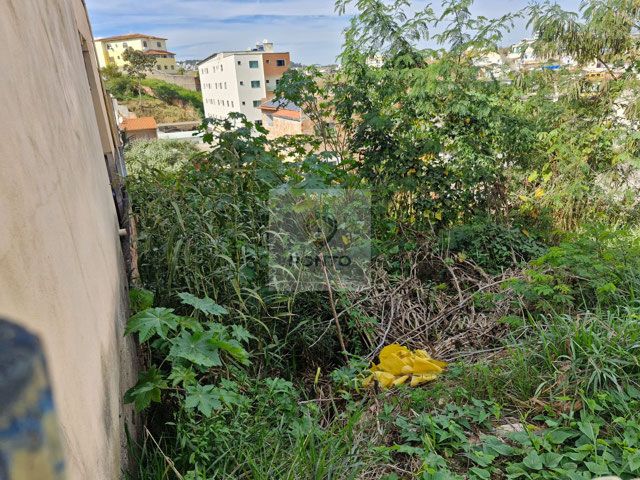 Foto cadastro cód. 582