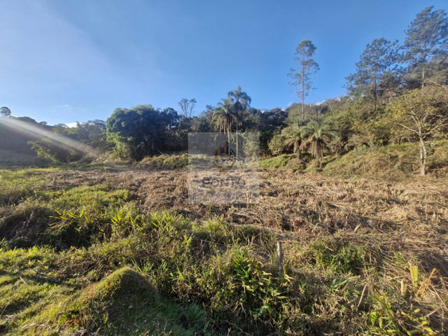Foto cadastro cód. 639