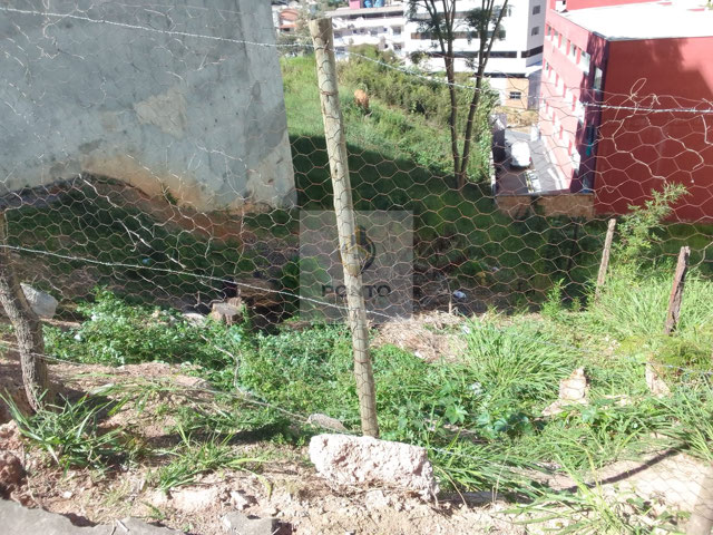 Foto cadastro cód. 699