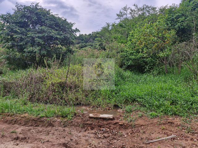 Foto cadastro cód. 711