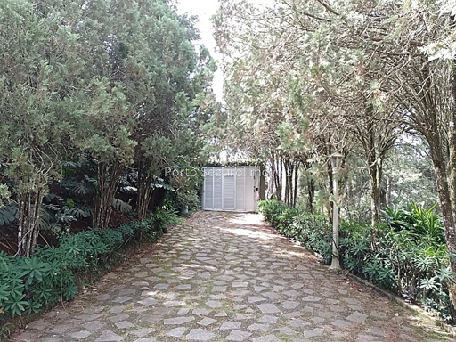 Foto cadastro cód. 115