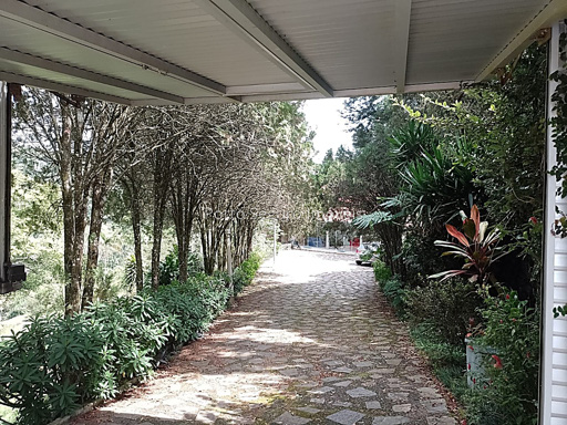 Foto cadastro cód. 115