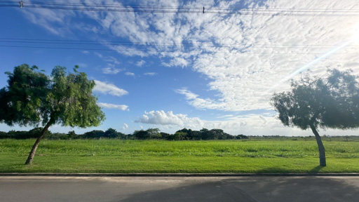 Foto cadastro cód. 1601