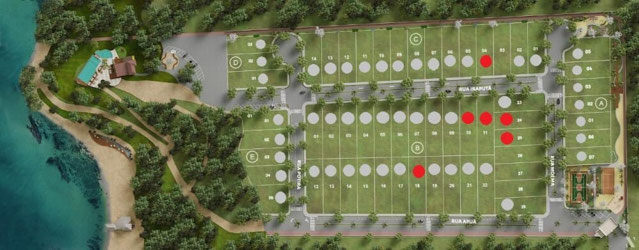 Foto cadastro cód. 6