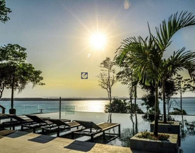 Foto cadastro cód. 8