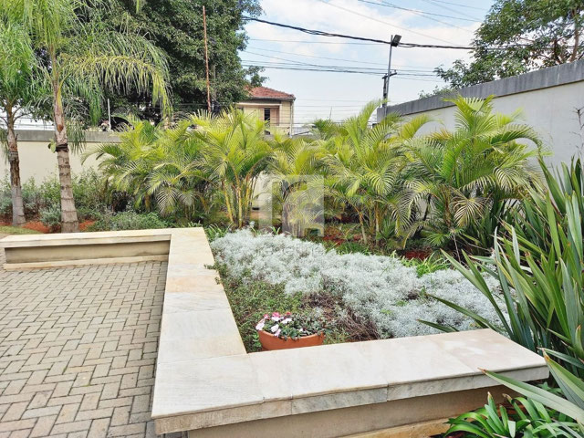 Foto cadastro cód. 216