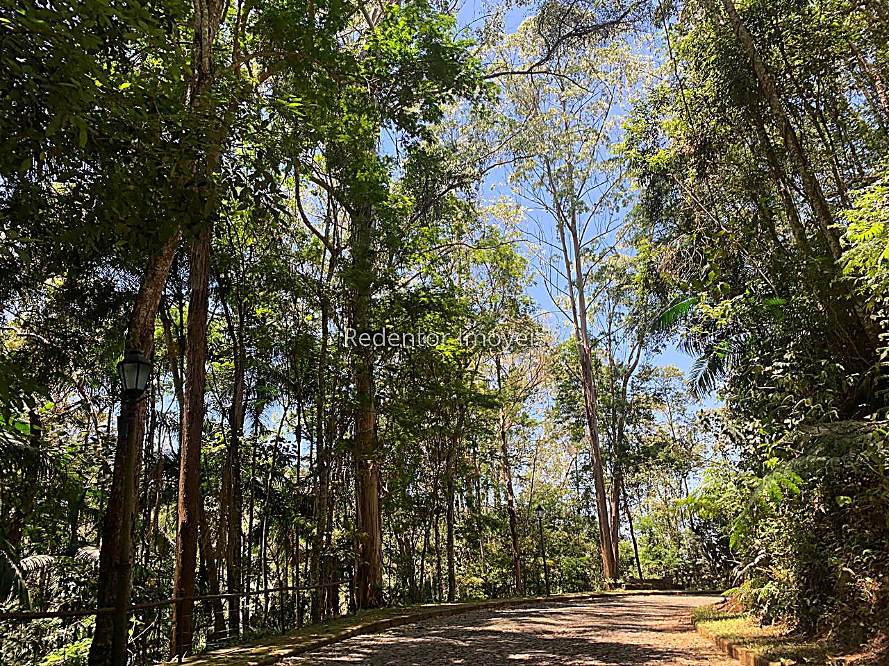Terreno Residencial à venda em Parque Guadalajara, Juiz de Fora - MG - Foto 4