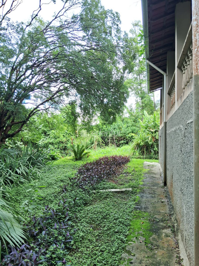 Foto cadastro cód. 1599