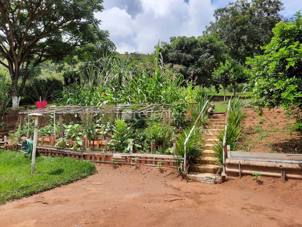 Chácara à venda em Humaitá, Juiz de Fora - MG - Foto 16