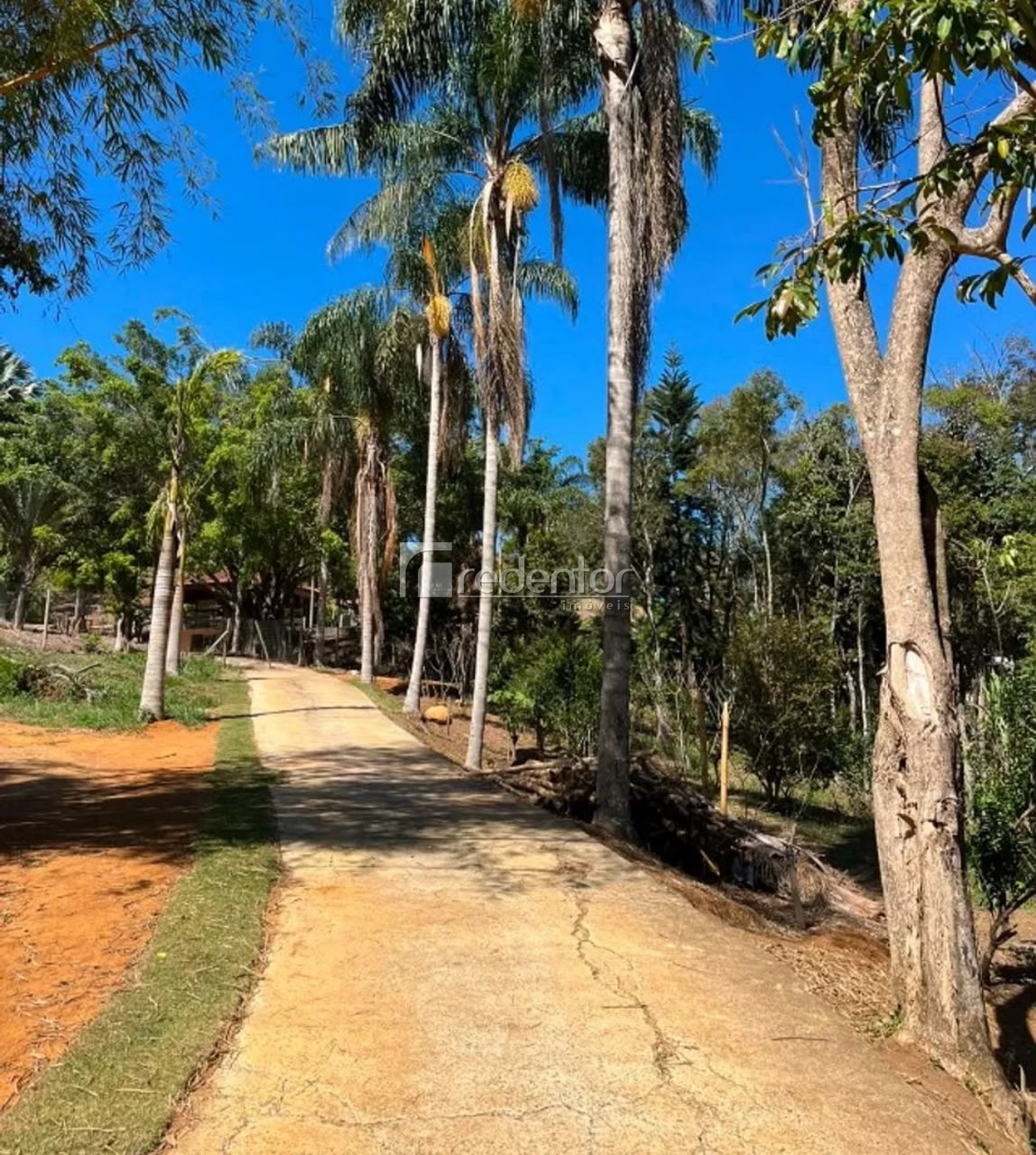 Terreno Residencial à venda em Salvaterra, Juiz de Fora - MG - Foto 5
