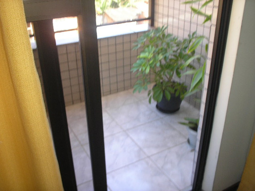 Foto cadastro cód. 6
